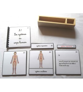 copy of Nomenclature d'anatomie