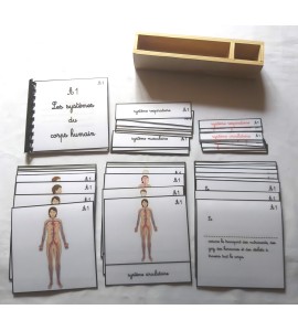 copy of Nomenclature d'anatomie