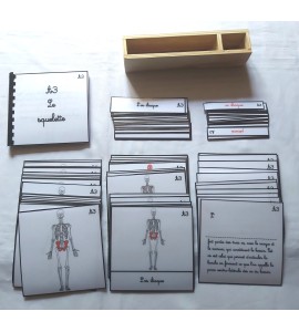 copy of Nomenclature d'anatomie