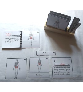 copy of Nomenclature d'anatomie