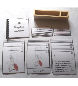 copy of Nomenclature d'anatomie