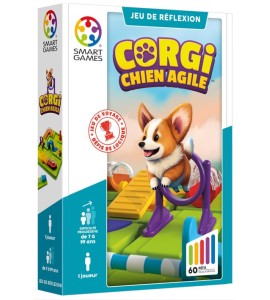 Corgi, chien agile