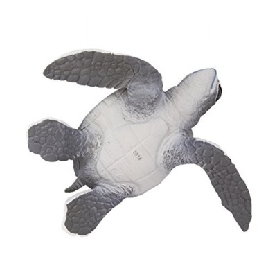 Tortue de mer bébé