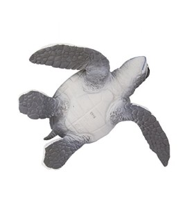 Tortue de mer bébé