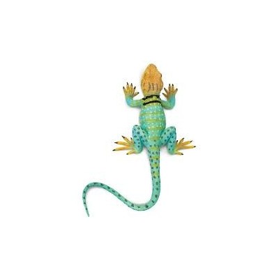 Lézard coloré