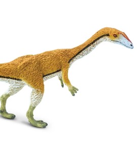 Coelophysis