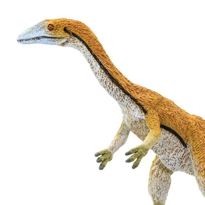 Coelophysis