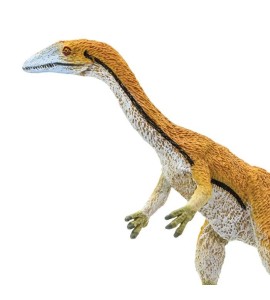 Coelophysis