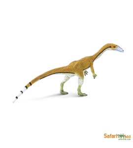 Coelophysis