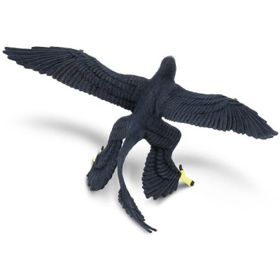 Microraptor