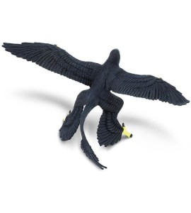 Microraptor