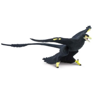 Microraptor