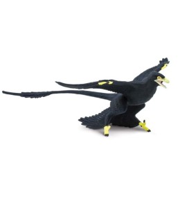 Microraptor