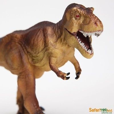 Tyrannosaurus rex