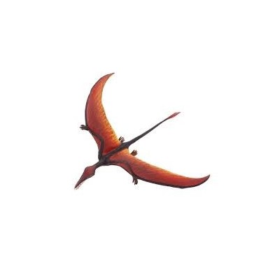 Rhamphorhynchus