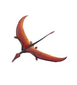 Rhamphorhynchus