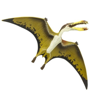 Pterosaur