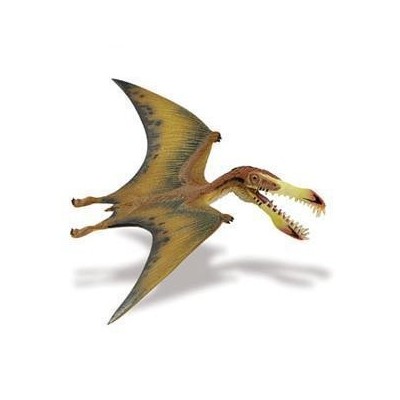 Pterosaur