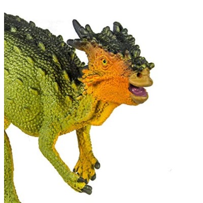 Dracorex