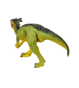 Dracorex