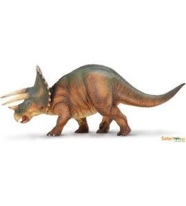 Triceratops