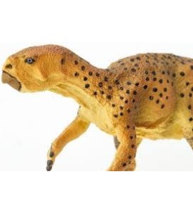 Psittacosaurus