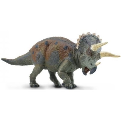 Triceratops