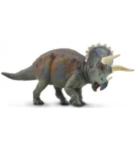 Triceratops