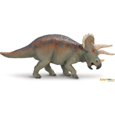 Triceratops