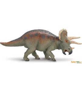 Triceratops