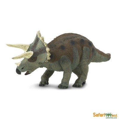 Triceratops