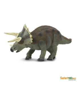 Triceratops