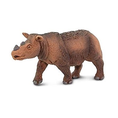 Rhinocéros de Sumatran