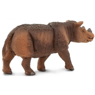 Rhinocéros de Sumatran