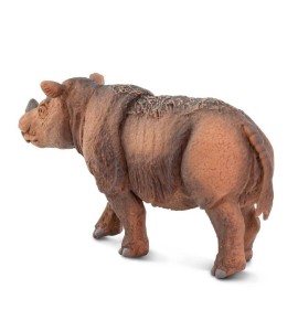 Rhinocéros de Sumatran