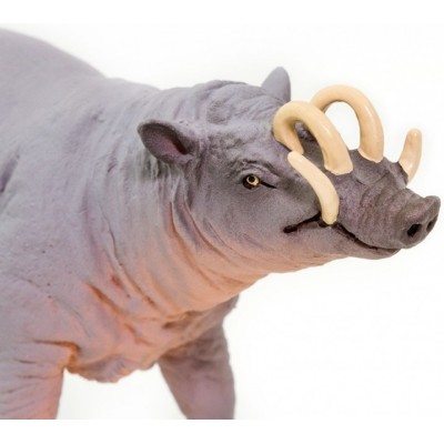 Babiroussa