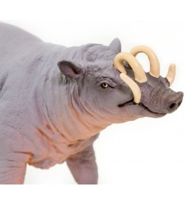 Babiroussa