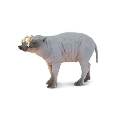 Babiroussa