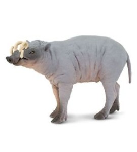 Babiroussa