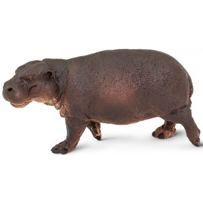 Hippopotame pygmée ( nain )