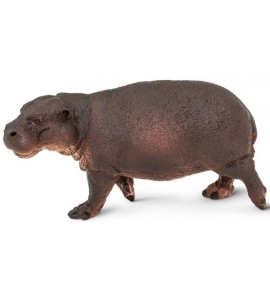 Hippopotame pygmée ( nain )