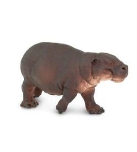 Hippopotame pygmée ( nain )