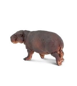 Hippopotame pygmée ( nain )