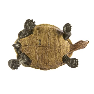 Tortue du désert