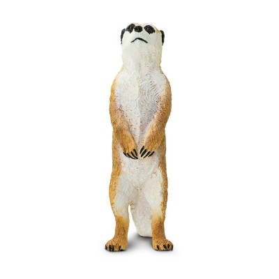 Suricate