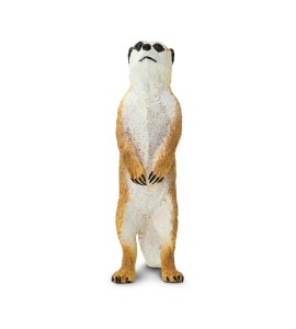 Suricate