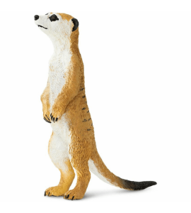 Suricate