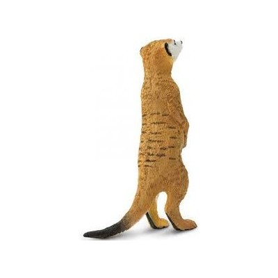 Suricate