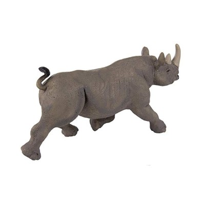 Rhinocéros noir