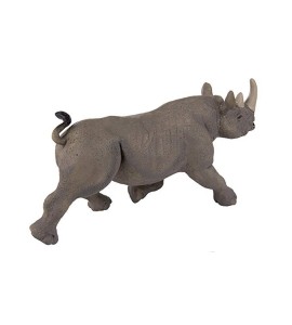 Rhinocéros noir